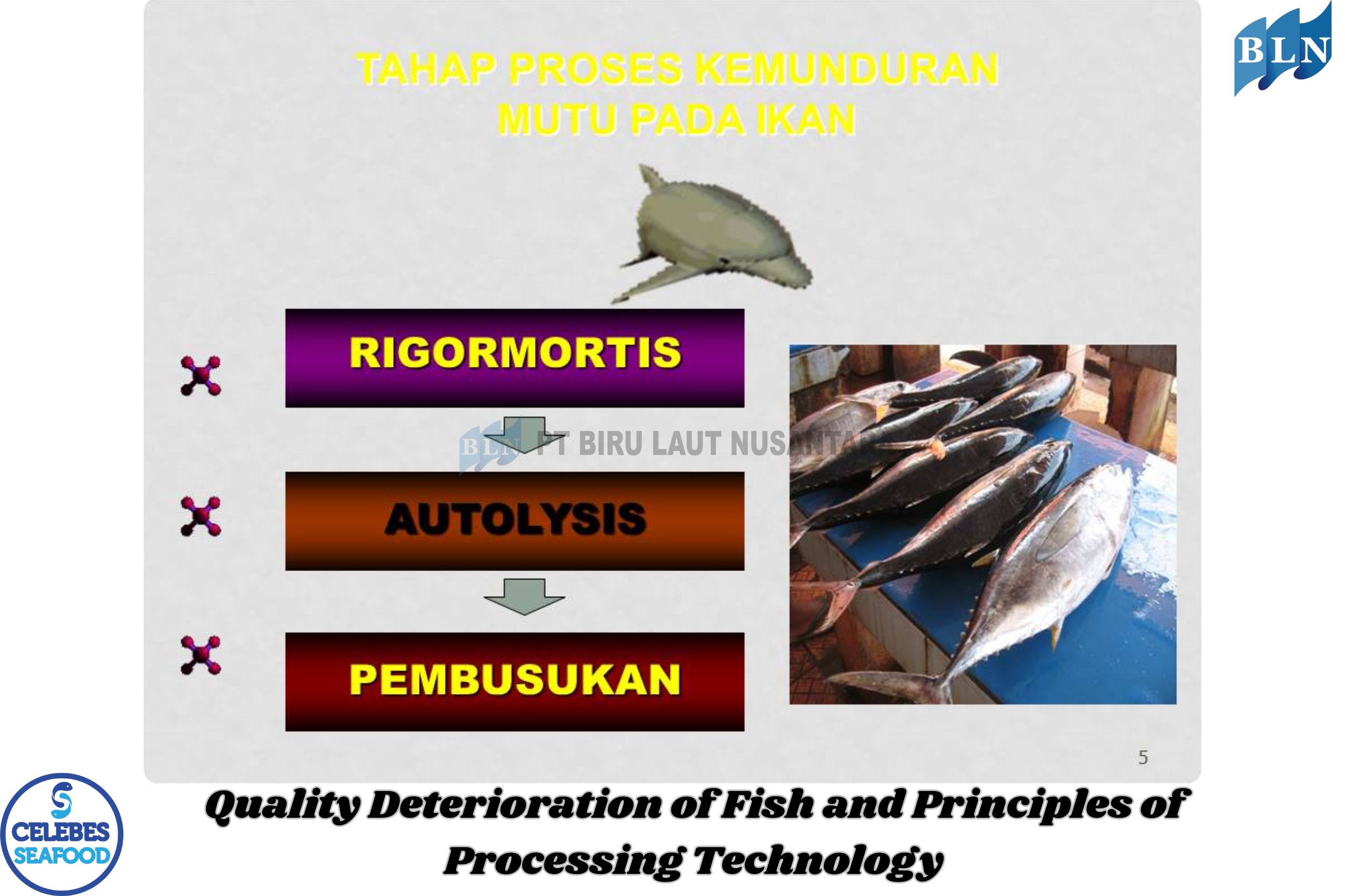 Quality Deterioration of Fish and Principles of Processing Technology